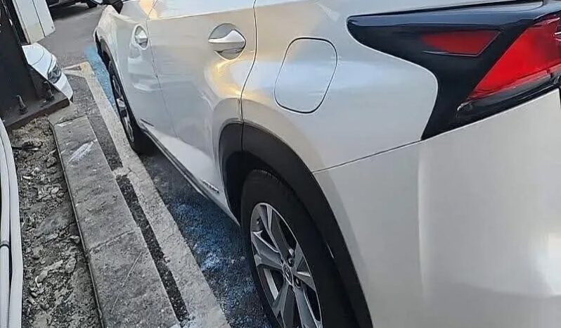
								LEXUS NX300H full									
