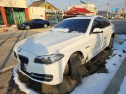 
										BMW 520d full									