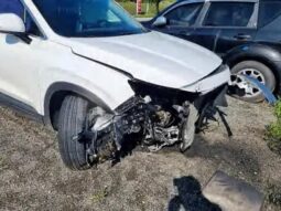 
										HYUNDAI SANTA FE full									
