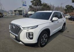 
										HYUNDAI PALISADE full									