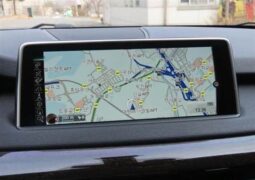 
										BMW X5 xDrive30d full									