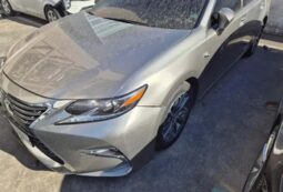 
										LEXUS ES300h full									