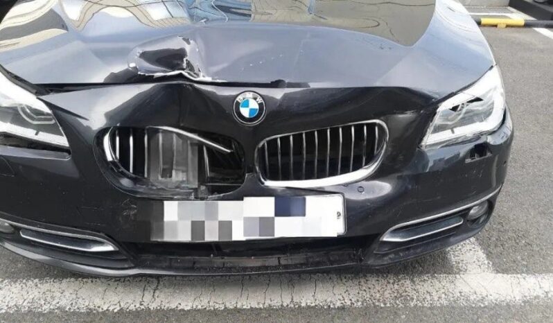 
								BMW 520d Xdrive full									