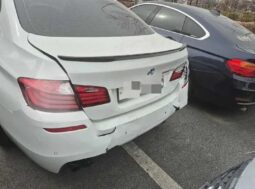 
										BMW 520d full									