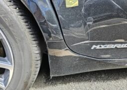 
										LEXUS ES300H full									
