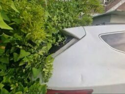 
										HYUNDAI SANTA FE full									