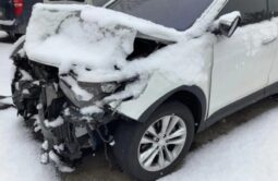 
										HYUNDAI SANTA FE full									
