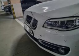 
										BMW 520d full									