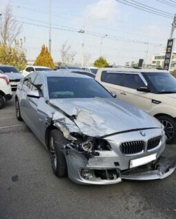 
										BMW 520d full									