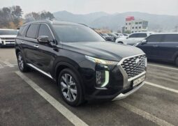
										HYUNDAI PALISADE full									