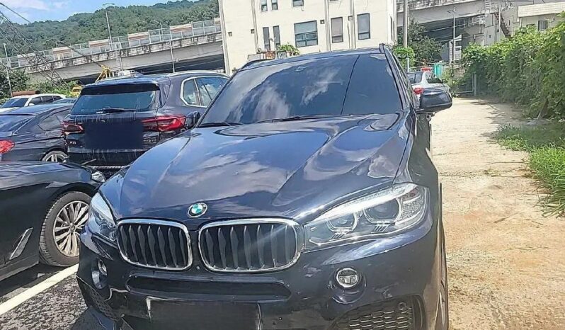 
								BMW X5 xDrive40d full									