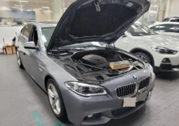 
										BMW 520d full									