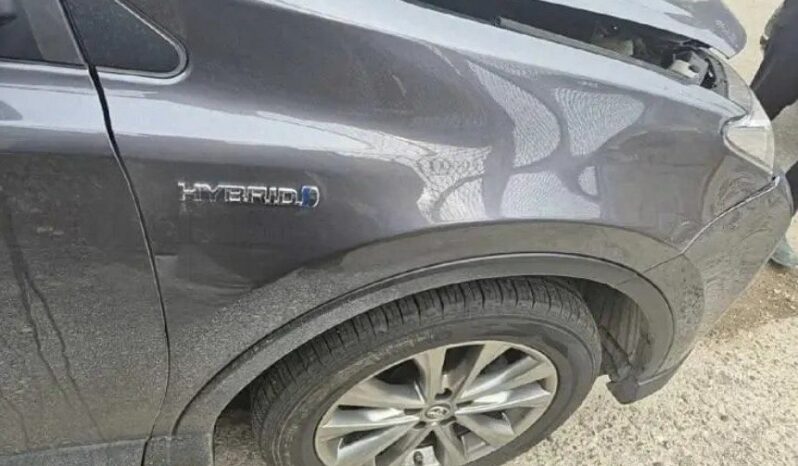 
								TOYOTA RAV 4 HV full									