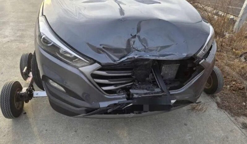 
								HYUNDAI Tucson full									