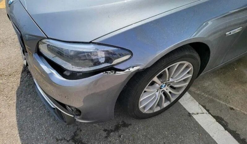 
								BMW 520d full									
