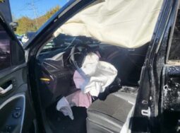 
										HYUNDAI SANTA FE full									