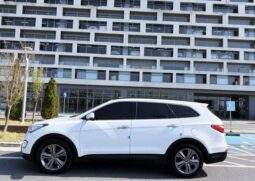 
										HYUNDAI MAXCRUZ full									
