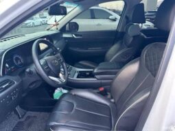
										HYUNDAI PALISADE full									