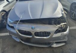 
										BMW 520d full									