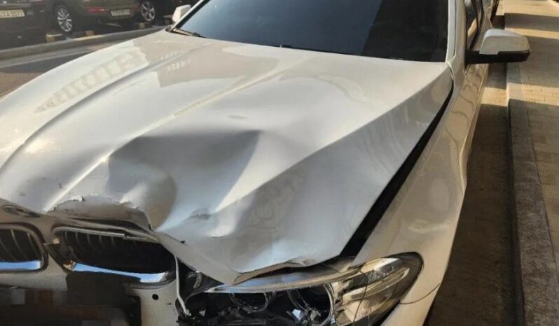 
								BMW 520d Xdrive full									