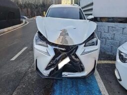 
										LEXUS NX300H full									