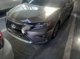 
										LEXUS ES300h full									