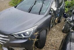 
										HYUNDAI SANTA FE full									