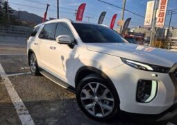 
										HYUNDAI PALISADE full									