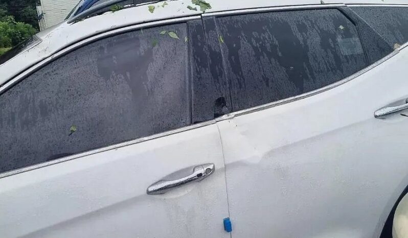 
								HYUNDAI SANTA FE full									