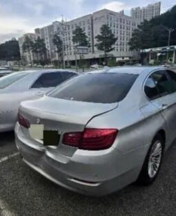 
										BMW 520d full									