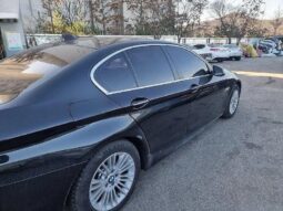 
										BMW 520d full									