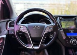 
										HYUNDAI MAXCRUZ full									