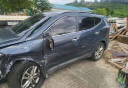 
										HYUNDAI SANTA FE full									