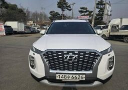 
										HYUNDAI PALISADE full									