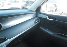 
										HYUNDAI PALISADE full									
