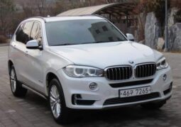 
										BMW X5 xDrive30d full									