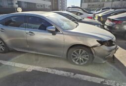 
										LEXUS ES300h full									