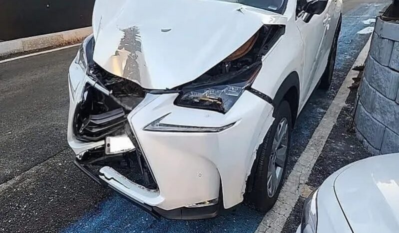 
								LEXUS NX300H full									