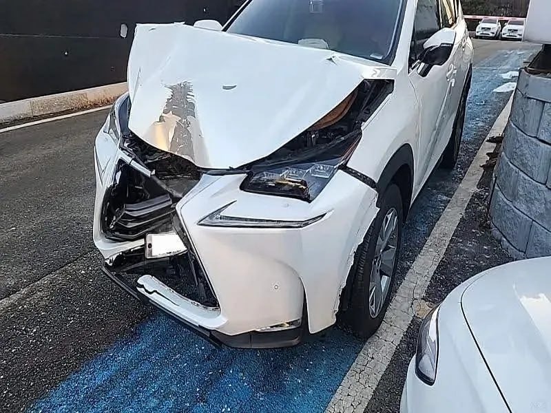LEXUS NX300H