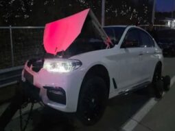 
										BMW 530i xDrive full									