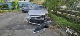 
										LEXUS ES300h full									