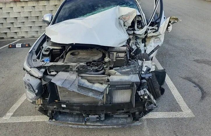 
								HYUNDAI SANTA FE full									