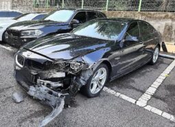 
										BMW 520d Xdrive full									