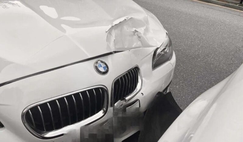 
								BMW 520d full									