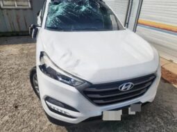 
										HYUNDAI Tucson full									