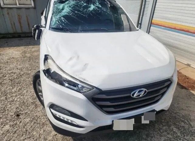 
								HYUNDAI Tucson full									
