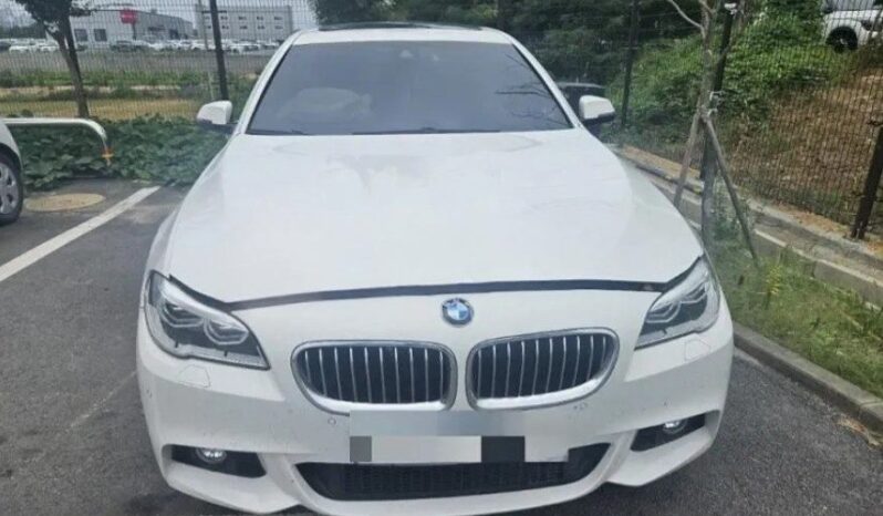
								BMW 520d full									