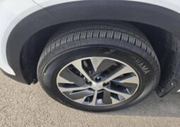 
										HYUNDAI PALISADE full									