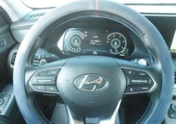 
										HYUNDAI PALISADE full									