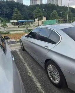 
										BMW 520d full									